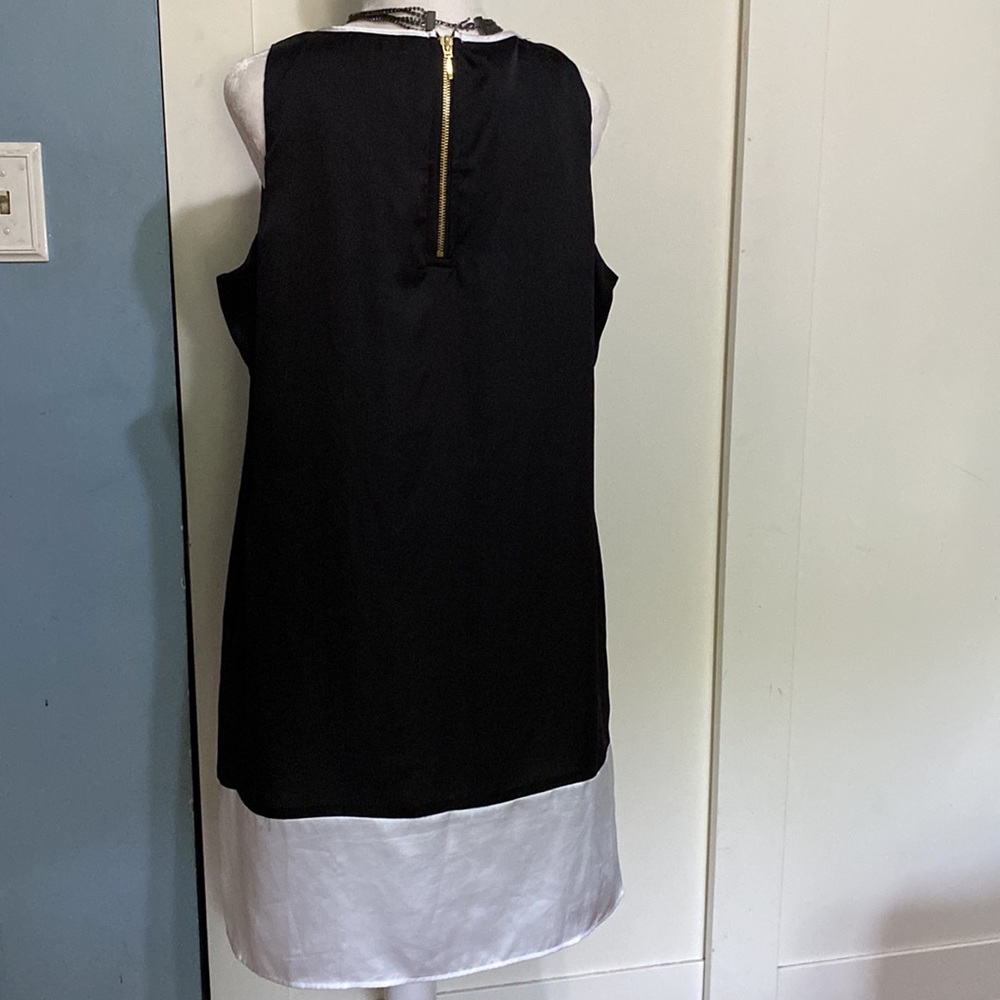 10/$10 Dana Buchman Black & White Lined Dress. EUC Size Large - Picture 5 of 10